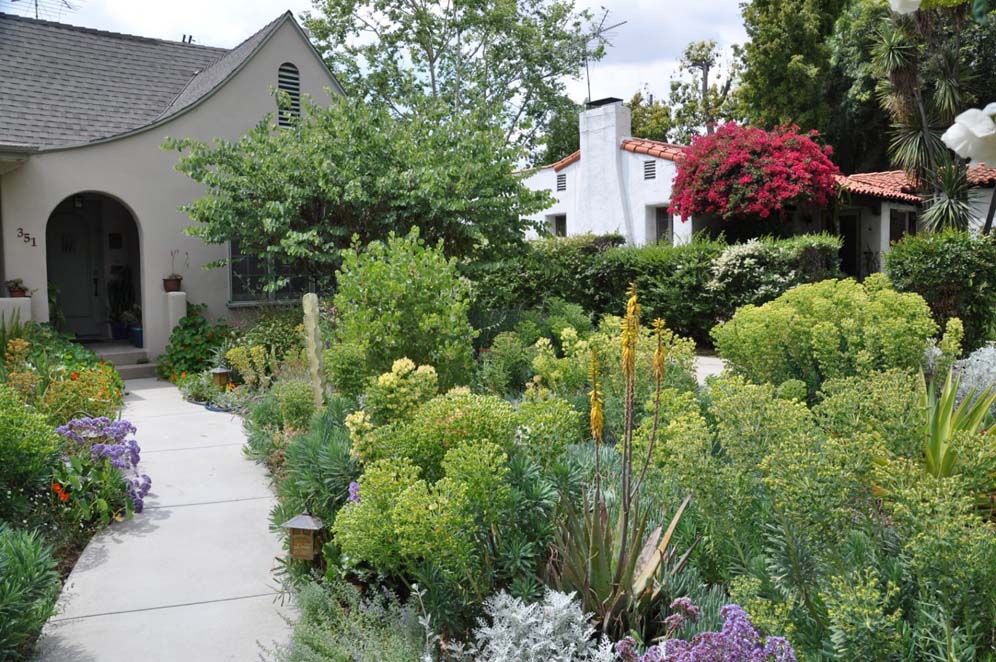 Euphorbia and Friends