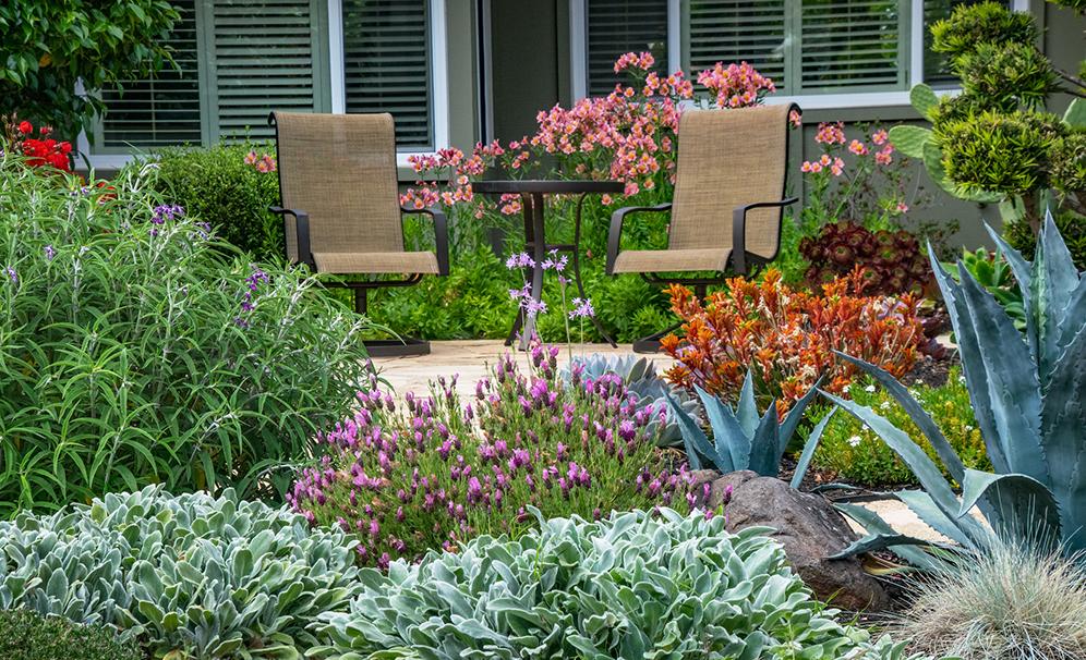 Lomond Sitting Area