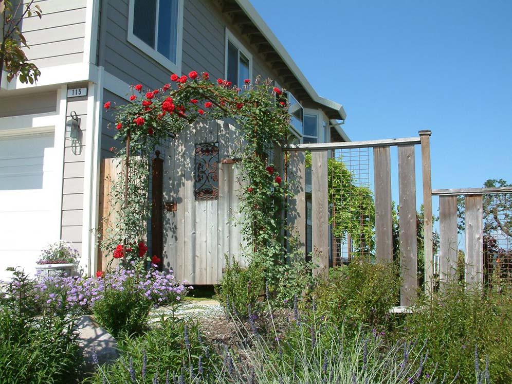 Rose Rimmed Fence