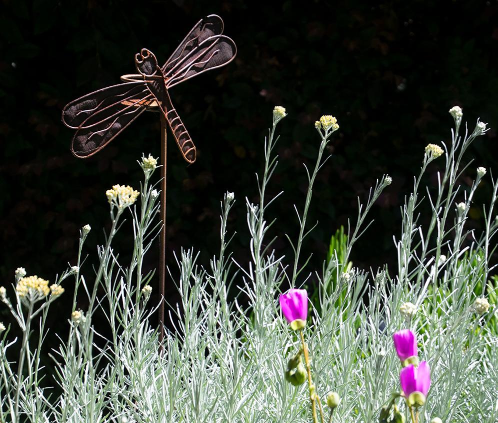 Winged Metal Dragonfly