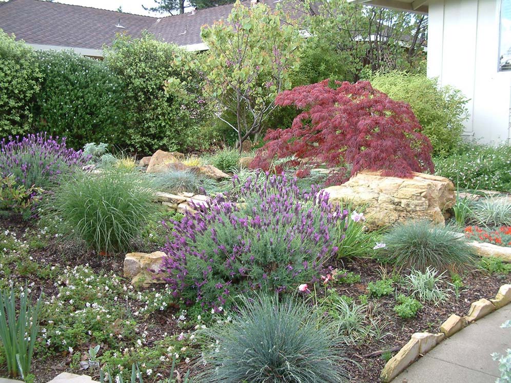 Boulders and Lavender