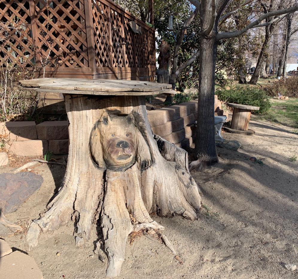 Bear Under Table