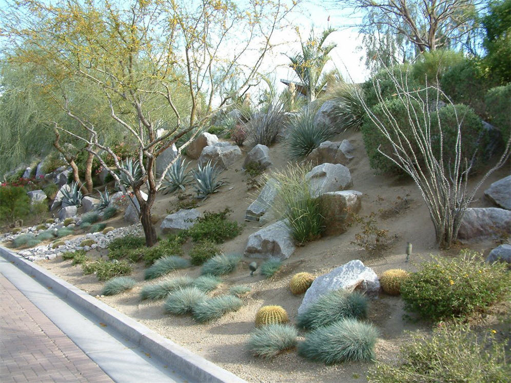 Hillside and Rocks