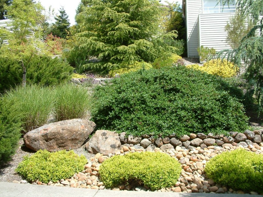 Rock and Plantings