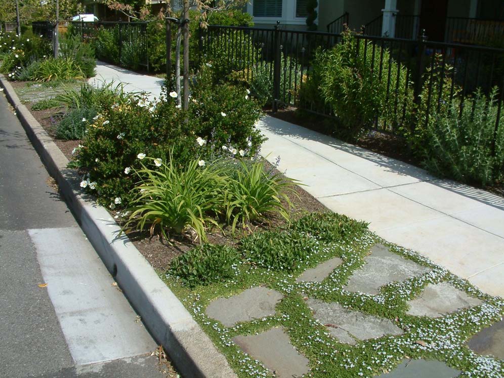 Pavers and Ground Cover on Parkway