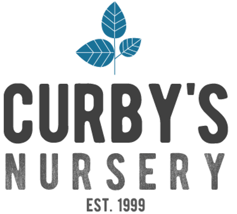 Curbys Logo