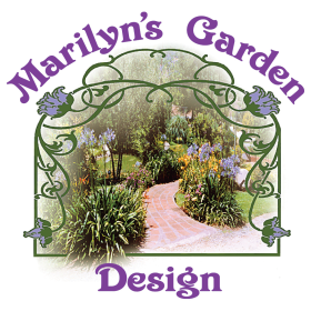 Marilyn Logo