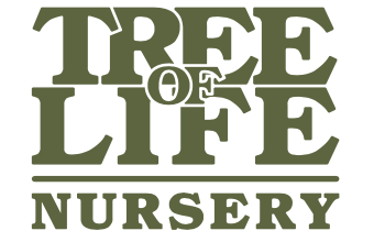 Tree of Life Nursery Logo